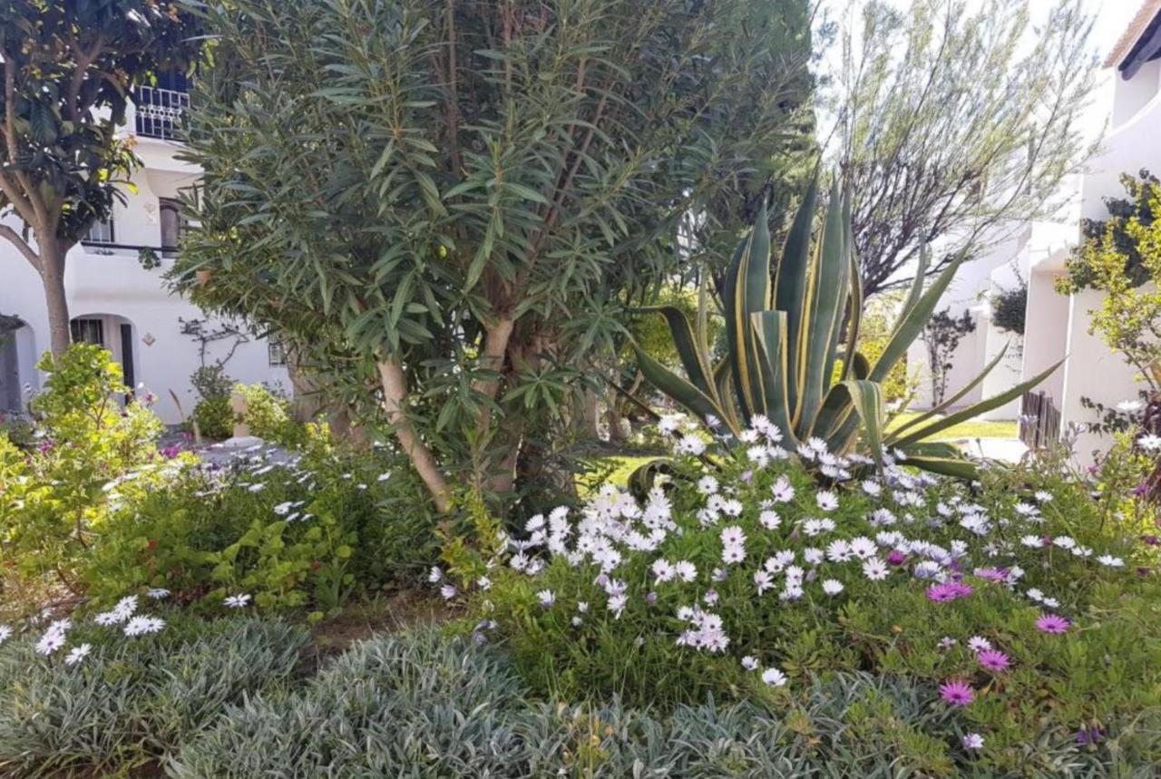 Apartment Sao Rafael Holidays Albufeira Exterior photo